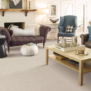 Living Room Carpet Flooring | D&D Carpets Inc